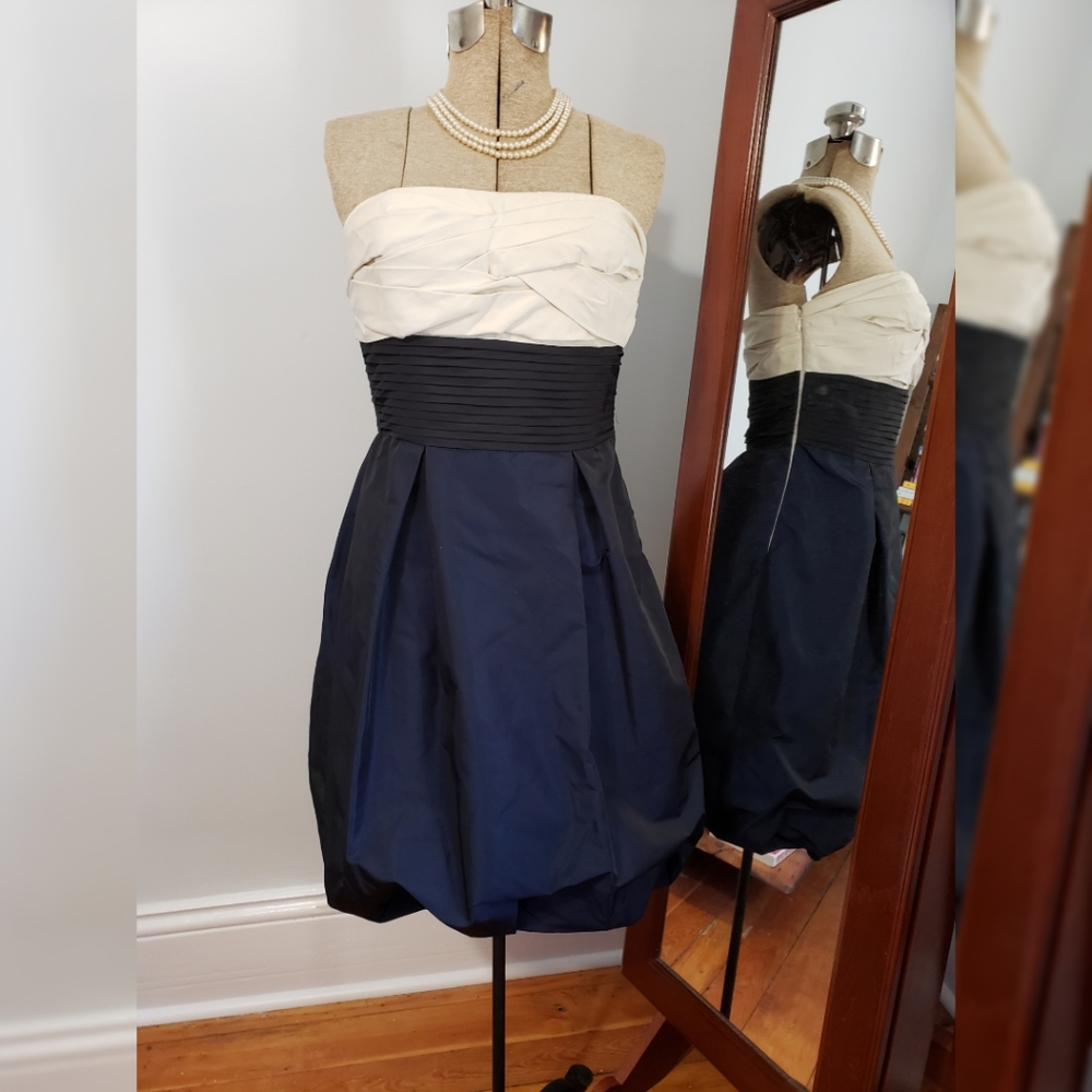 BCBG teacup skirt dress